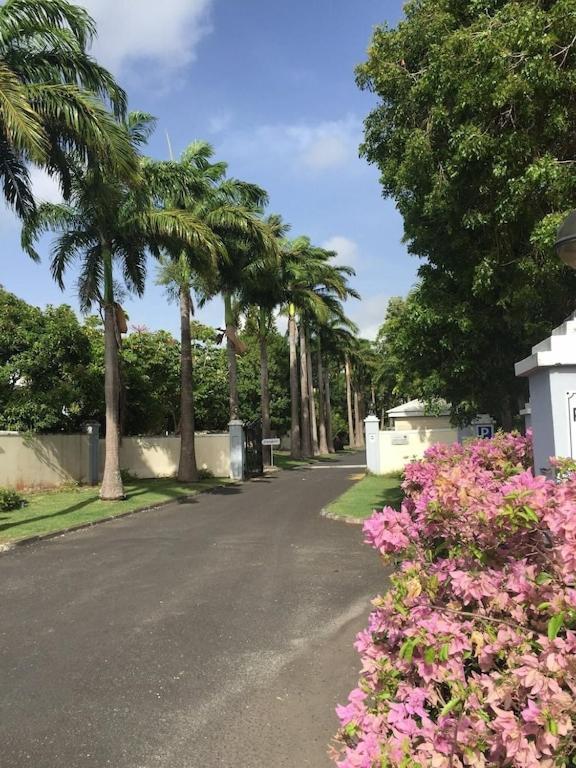 Tit'Iguane Sainte Martheアパートメント エクステリア 写真